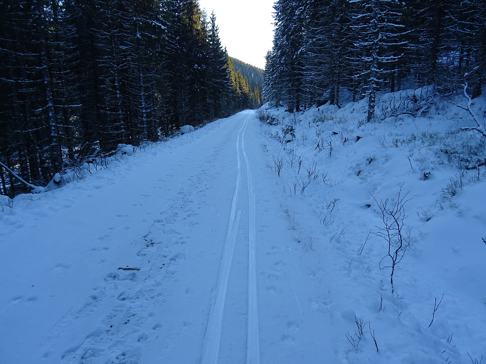 Fint skispor på Kvennlandseterveien.