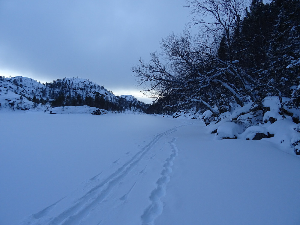 På returen på Trongfjordvatnet med ett dyrespor og et skispor