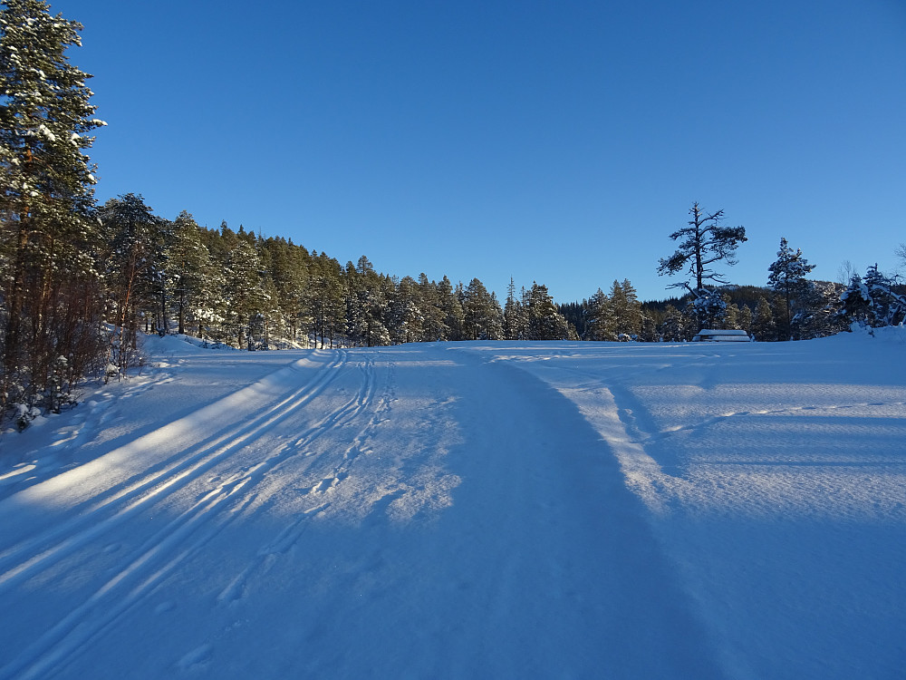 Flott løype innover mot Skogn-Vulusjøen