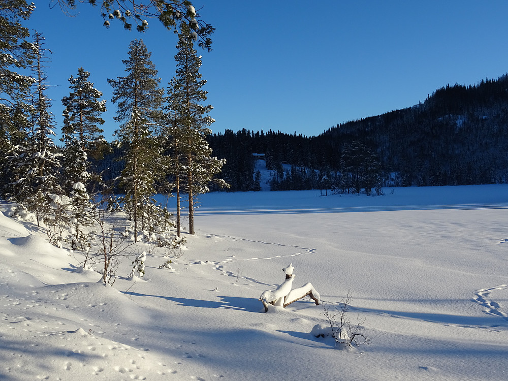 En solrik, kjølig dag ved Skogn-Vulusjøen