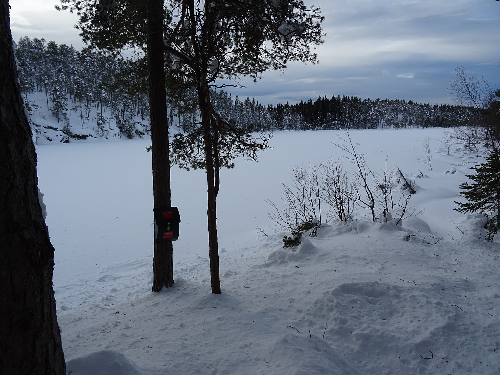 Hibergtjønna
