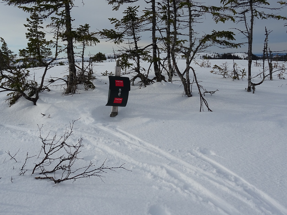 Ti på topp-kassen på Steinsvola