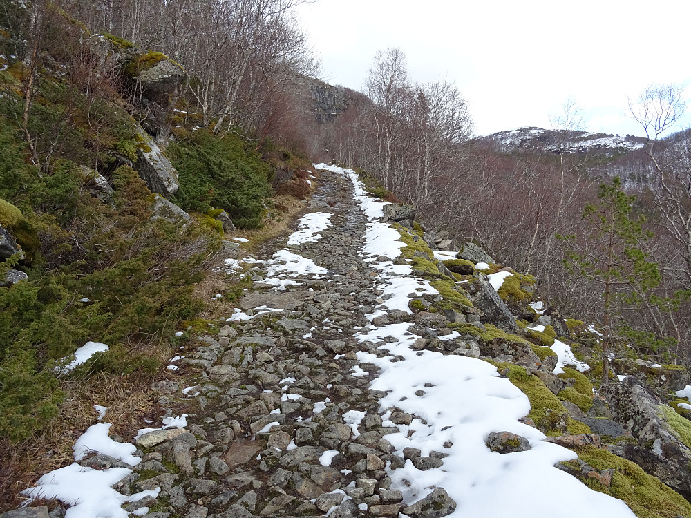 Flott traktorvei som kommer fra Dalen. Traktorveien fortsetter i en flott rundtur til Moen og ned etter gårdsvei til vei 6312 igjen