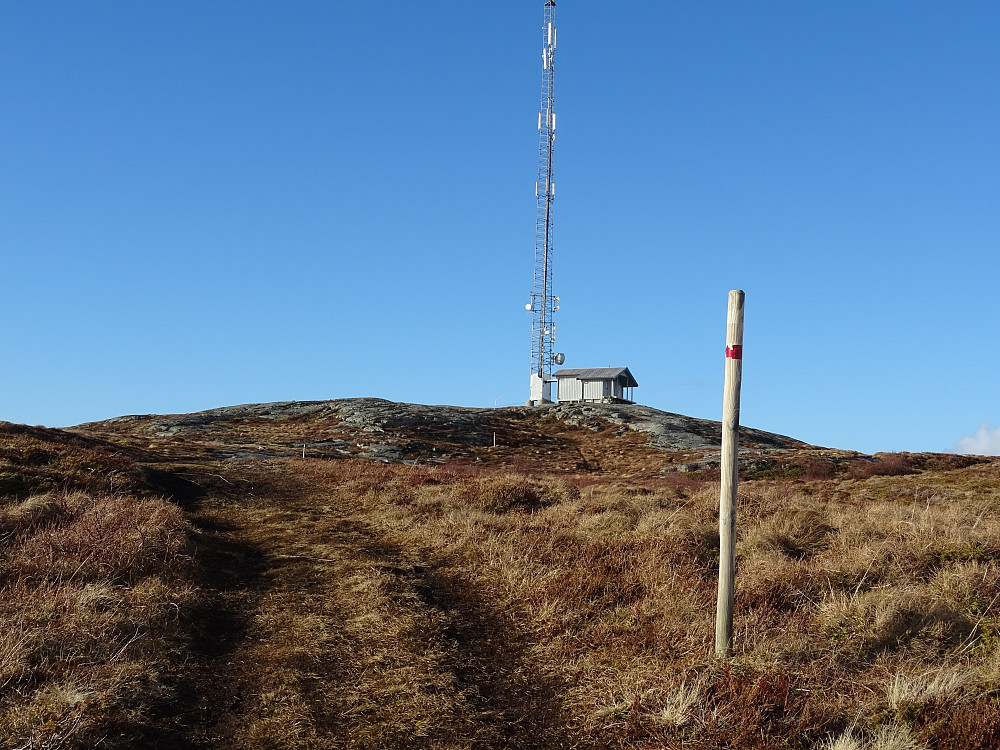 Godt merket sti mot Brandsøyfjellet