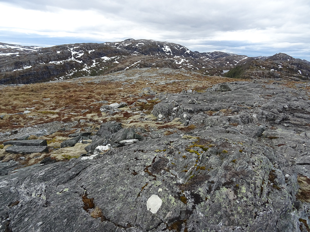 Høyeste punkt på Trollfjellet foran i bildet. (365 moh)