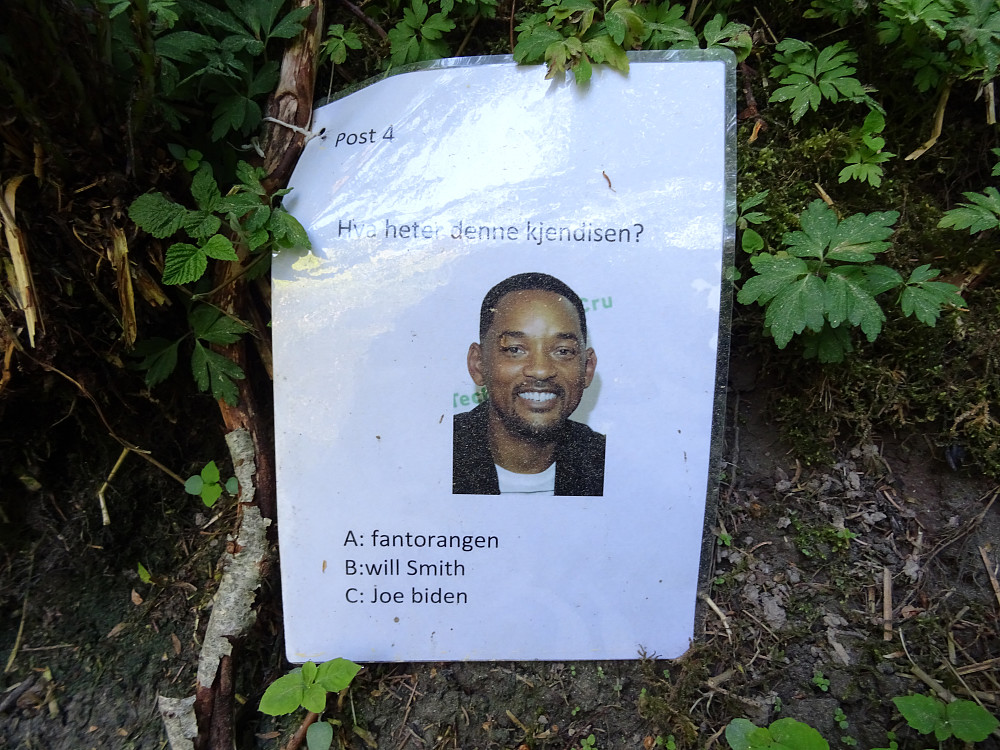 Spennende quiz på stien til Koksåsen.
