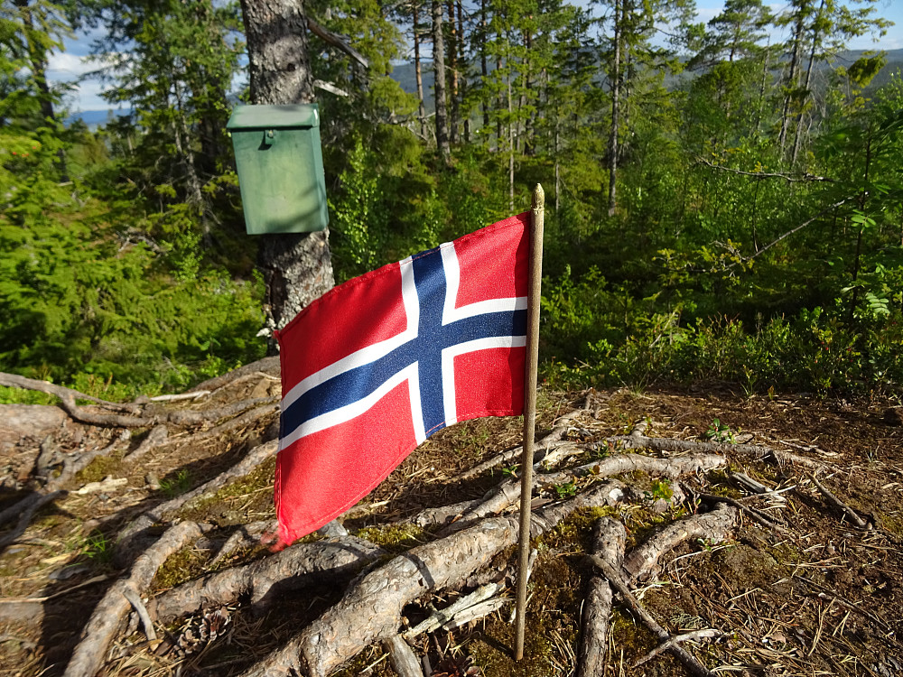 Det norske flagget er plantet på Koksåsen, kun 53 km.  fra Sverige