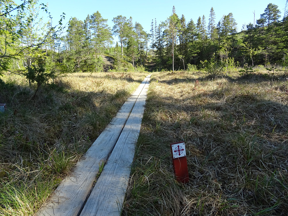 Her kan du følge den smale sti på pilegrimsleden. (Stiklestad-Nidaros)