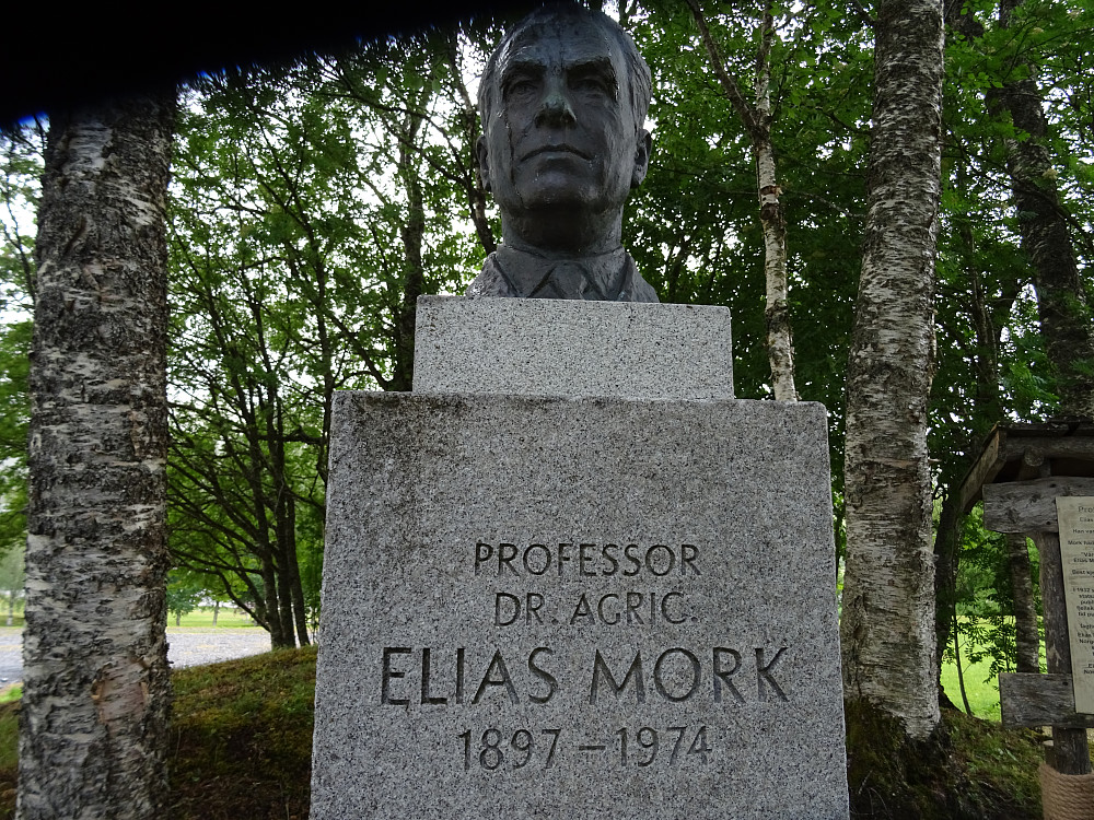 Statue av Elias Mork på Sjøåsen. 