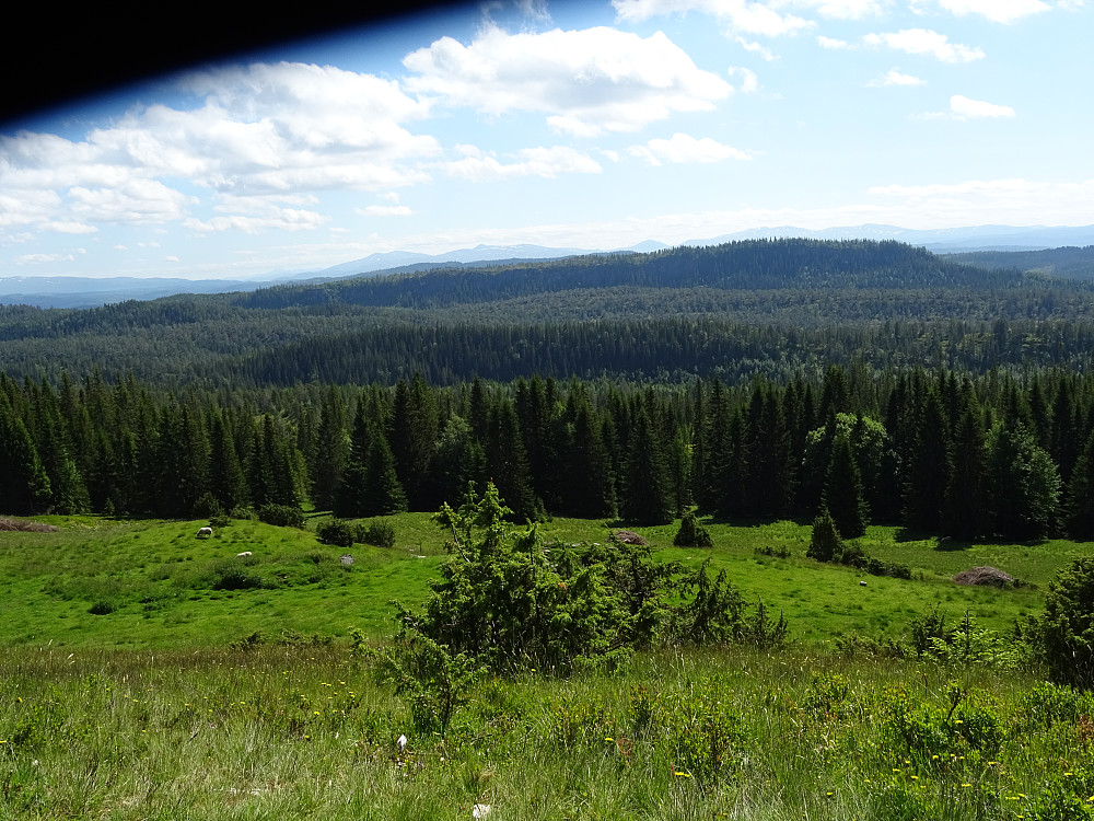 Utsikt fra Slettvollan mot Meråkerfjella