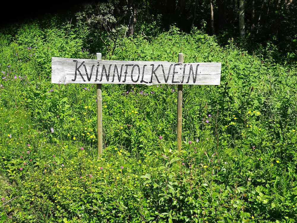 Veien inn til Røyrvik City