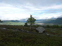 Utsikt fra Svarthaugen