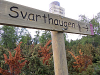 Godt skiltet til Svarthaugen