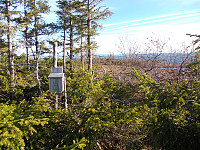 Stempelkasse på toppen av Gaukhaugen (Skjøtingen)