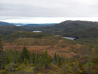Utsikt mot Brattlivatnet og Rødhammervatnet