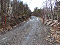 Veibom på veien til Hommelvikåsen
