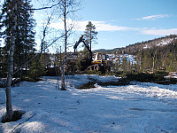 Skogsarbeid i Tømmerdalen
