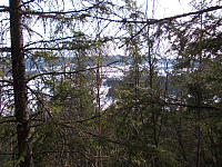 Utsikt fra Høgneset mot øst
