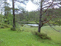 Svarttjern ligger mellom Malså Gruver og Sagvollvola