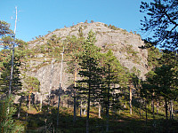 Urdfjellet