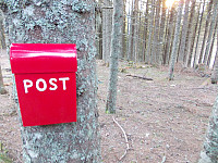 Liten rød postkasse ute i skogen