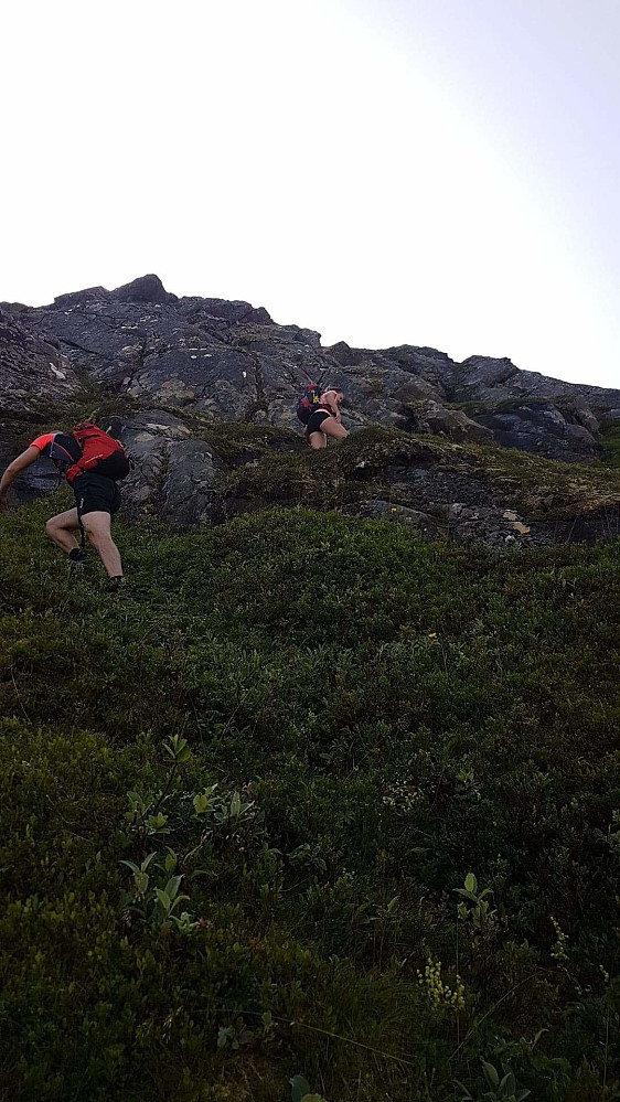 Opp første berghammer