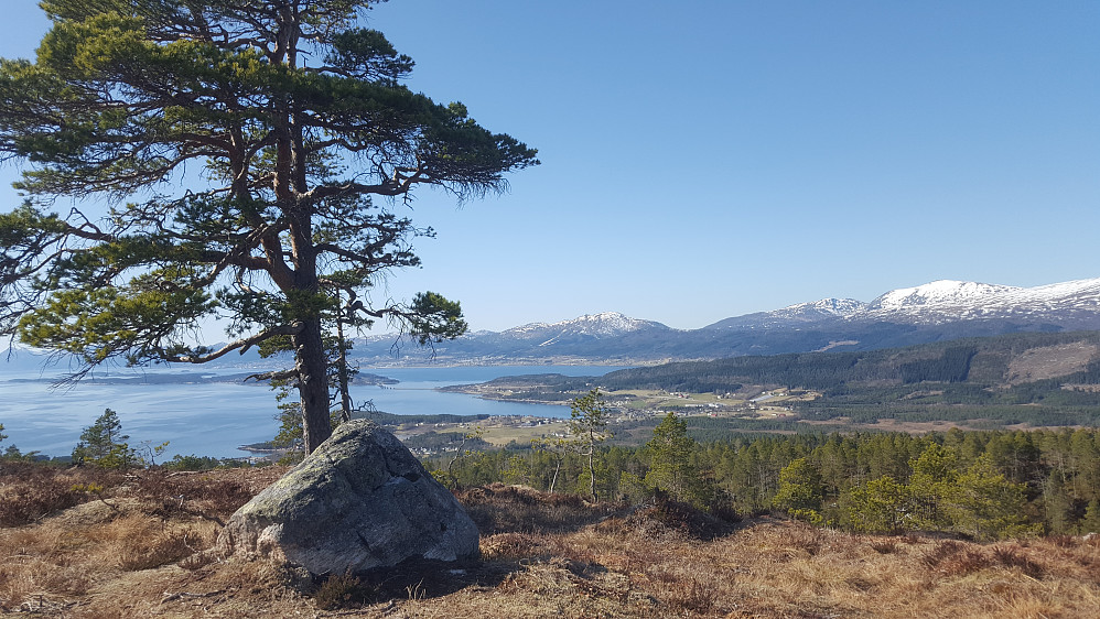 Kamposten