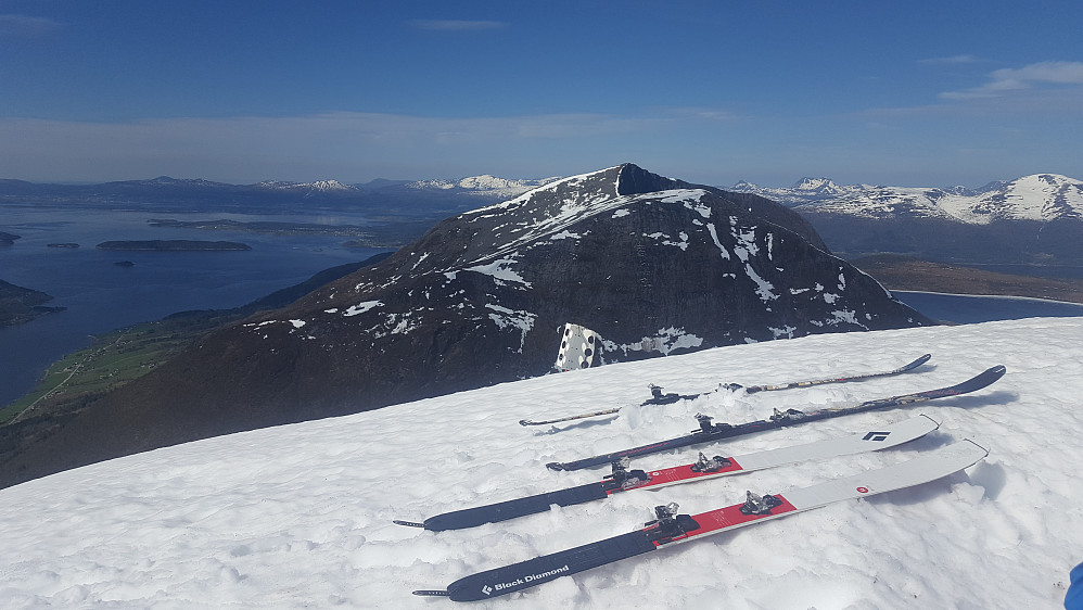 Tarløysa