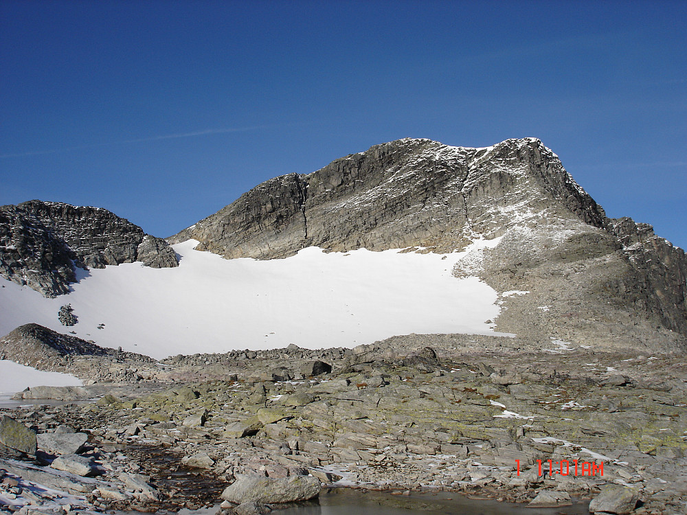Litl-snota