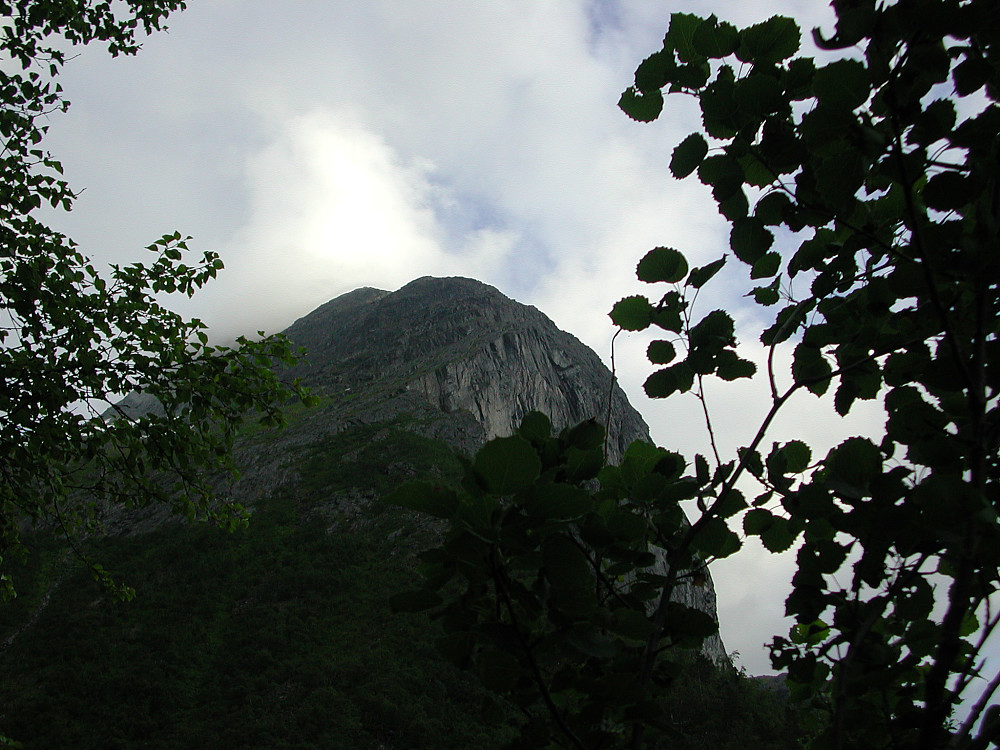 Der oppi et sted befinner toppen seg