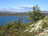 fjellturkongen_20190811_5d5089818dee0.jpg