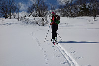 fjellturkongen_20190812_5d51b467e7655.jpg