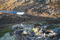 fjellturkongen_20190812_5d51bb9e3d198.jpg