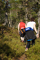 fjellturkongen_20190812_5d51db01c1b0f.jpg