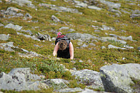fjellturkongen_20190813_5d525ba113680.jpg