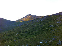 fjellturkongen_20190813_5d528f2c69691.jpg