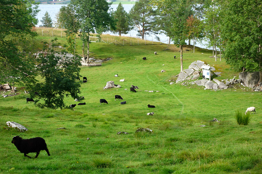 Mellom Bondevika og kirka