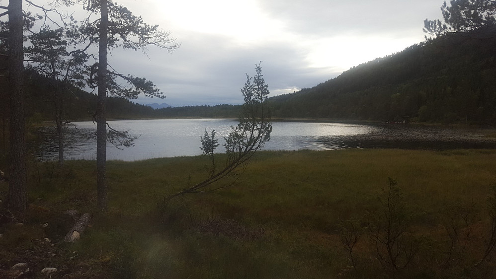 Startet ved Vikvatnet