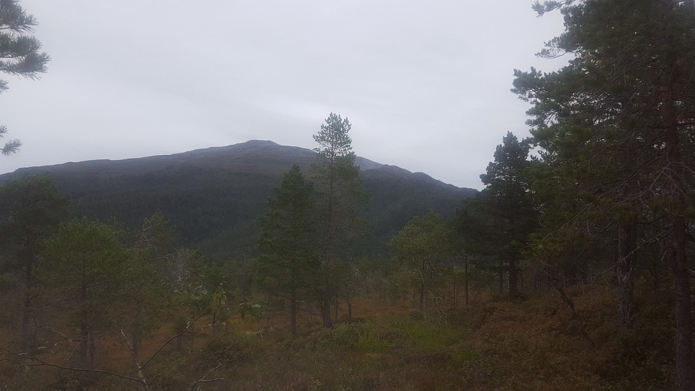 Ved toppen av Heggenesfjellet med Vesleskåla i bakgrunnen