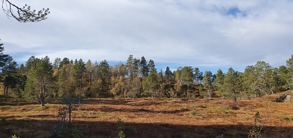 Koppargråhaugen i sikte