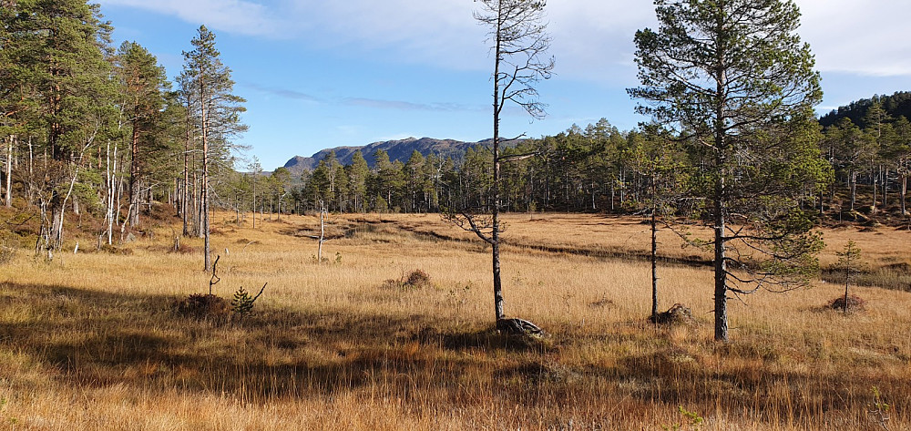 På vei mot Storhaugen