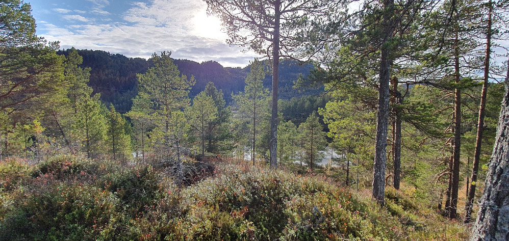 En topp med for lav pf til å være registrert. Øykjefjellet i bakgrunnen
