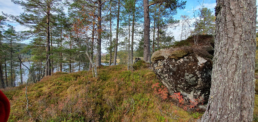 Svarttjønnhaugan
