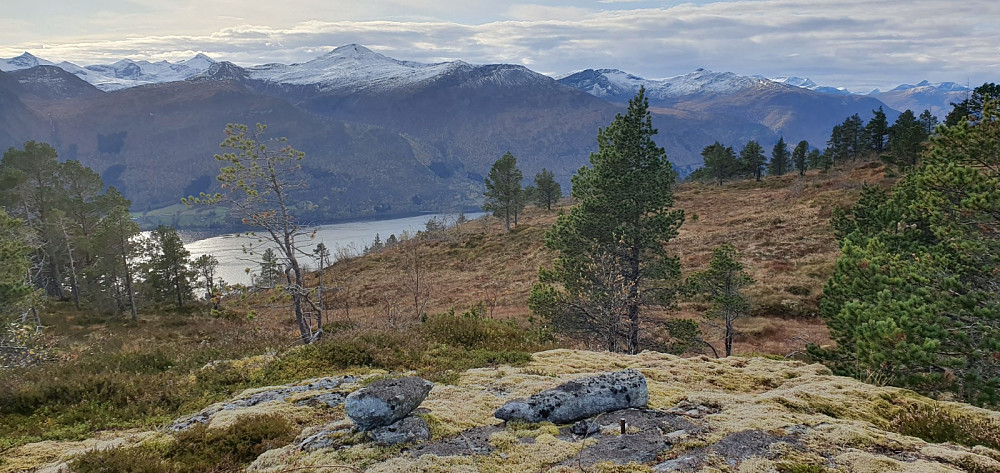 Trig-punkt ved Øykjefjellet