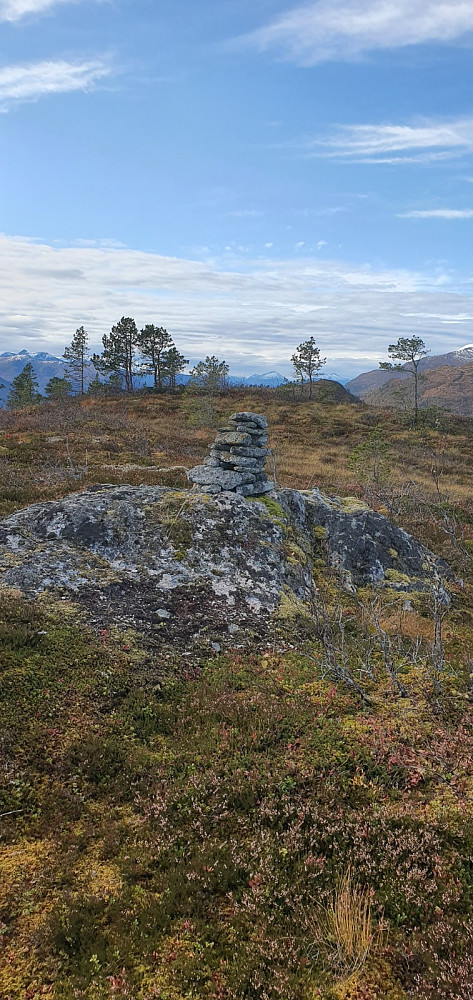 Øykjefjellet sett vestover med Purka i Bakgrunnen