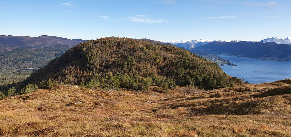 Tilbakeblikk på Øykjefjellet på veg opp mot Purka
