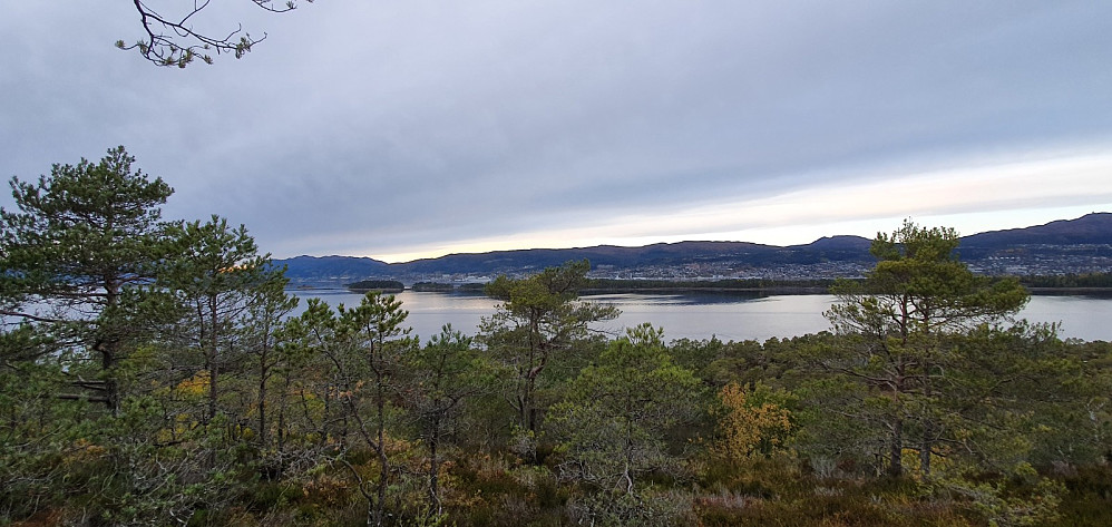 Fårøytangen