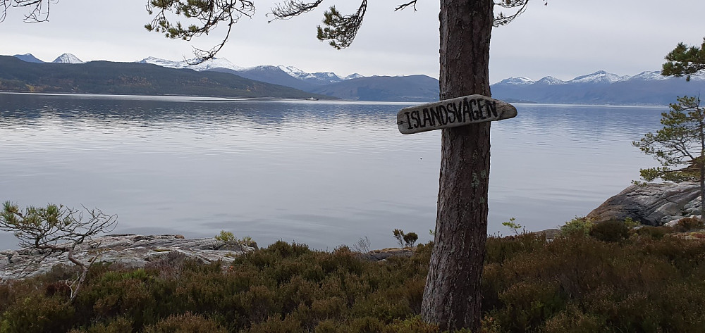 Tilbake ved Islandsvågen