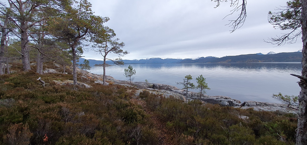 Tilbake ved Islandsvågen. På hele hjemturen fant jeg sti (litt lite brukt) og det gjorde reisen mye lettere.