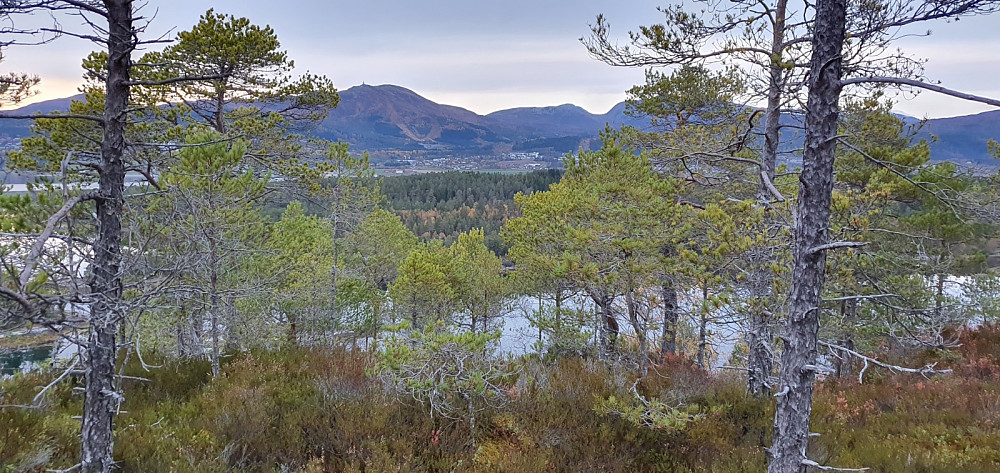 Fårøytoppen